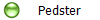 Pedster